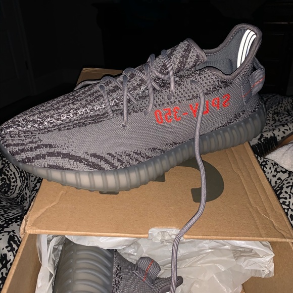 beluga v2